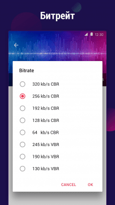 Capture d'écran de l'application Convertisseur de vidéo en MP3 - #3