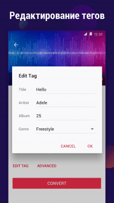 Capture d'écran de l'application Convertisseur de vidéo en MP3 - #4
