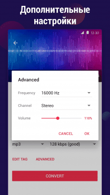 Capture d'écran de l'application Convertisseur de vidéo en MP3 - #5