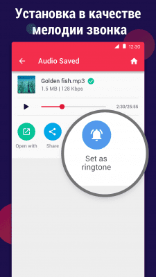 Capture d'écran de l'application Convertisseur de vidéo en MP3 - #7