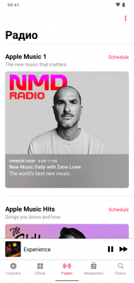 Capture d'écran de l'application Apple Music - #5
