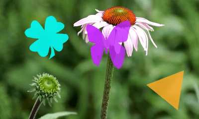 Capture d'écran de l'application Smart Lock (plug-in) - #5