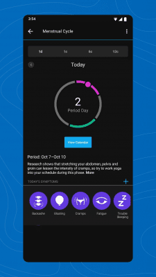 Capture d'écran de l'application Garmin Connect - #4