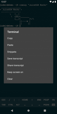 Capture d'écran de l'application JuiceSSH - SSH Client - #8