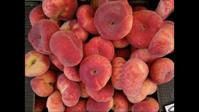 Capture d'écran de l'application Full Screen Pic Picture Viewer - #5