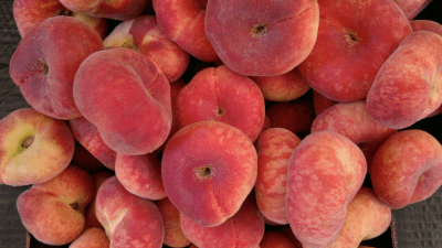 Capture d'écran de l'application Full Screen Pic Picture Viewer - #6