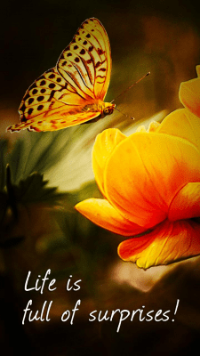 Capture d'écran de l'application PicsPlay - Photo Editor - #5