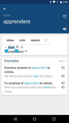 Capture d'écran de l'application Italian English Dictionary - #2