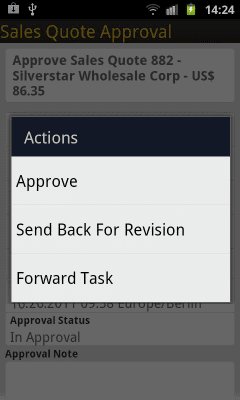 Capture d'écran de l'application SAP Business ByDesign - #5