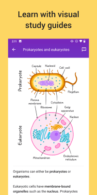 Capture d'écran de l'application Socratic by Google - #5