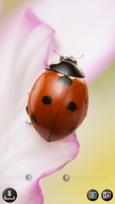 Capture d'écran de l'application Loupe et microscope - #5