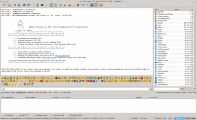 Capture d'écran de l'application EiskaltDC++ - #1