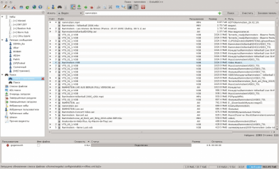 Capture d'écran de l'application EiskaltDC++ - #4