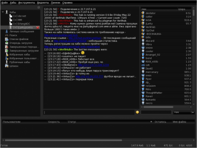 Capture d'écran de l'application EiskaltDC++ - #7