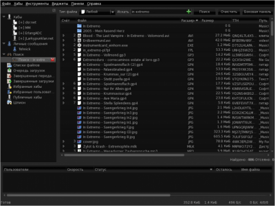 Capture d'écran de l'application EiskaltDC++ - #8