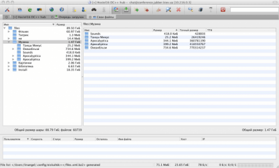 Capture d'écran de l'application EiskaltDC++ - #11