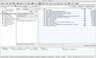Capture d'écran de l'application EiskaltDC++ - #12