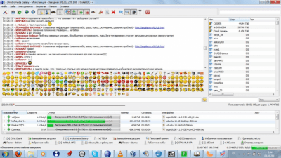 Capture d'écran de l'application EiskaltDC++ - #13