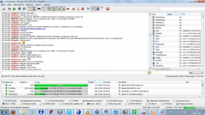 Capture d'écran de l'application EiskaltDC++ - #14