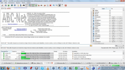 Capture d'écran de l'application EiskaltDC++ - #15