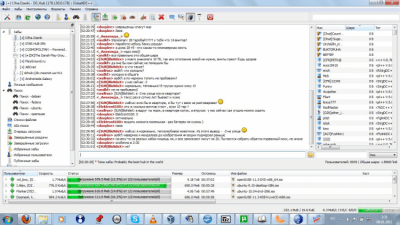 Capture d'écran de l'application EiskaltDC++ - #16