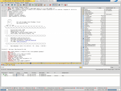 Capture d'écran de l'application EiskaltDC++ - #17