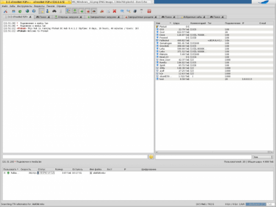 Capture d'écran de l'application EiskaltDC++ - #19