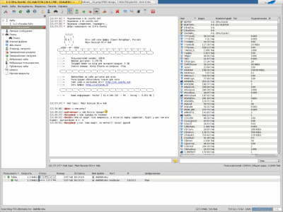 Capture d'écran de l'application EiskaltDC++ - #20