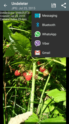 Capture d'écran de l'application Undeleter - Restaurer les fichiers - #4