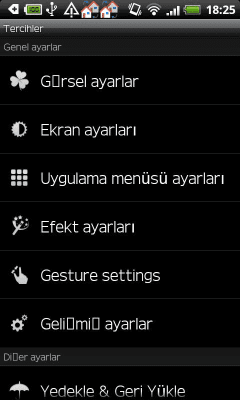 Capture d'écran de l'application GO LauncherEX Turkish language - #2