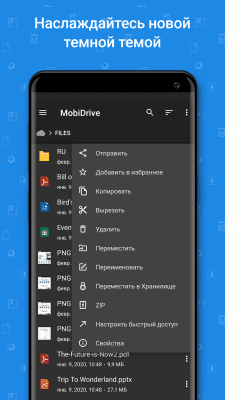 Capture d'écran de l'application File Commander - #8