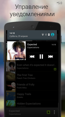 Capture d'écran de l'application Android Music Player - #6