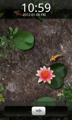 Capture d'écran de l'application GO Locker Lucky Fishpond Theme - #3