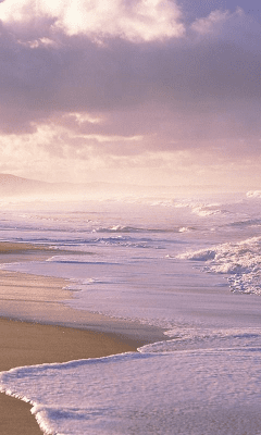 Capture d'écran de l'application Beautiful Nature Wallpapers #1 - #3