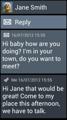 Capture d'écran de l'application BL Steel Theme - #3