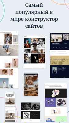 Capture d'écran de l'application WordPress - #7