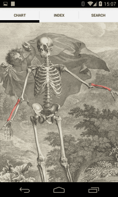 Capture d'écran de l'application Bones - #5