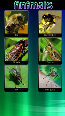 Capture d'écran de l'application Bruits d'animaux pour les enfants - #4