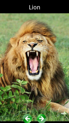 Capture d'écran de l'application Bruits d'animaux pour les enfants - #6