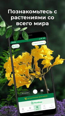 Capture d'écran de l'application PlantSnap - Identification des plantes, arbres et fleurs - #1