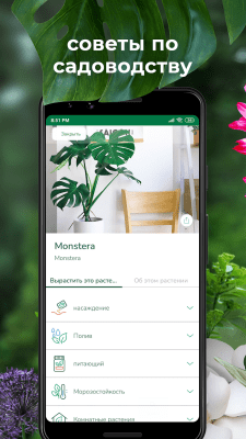Capture d'écran de l'application PlantSnap - Identification des plantes, arbres et fleurs - #2