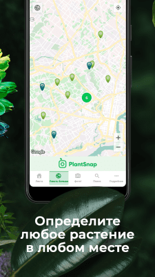 Capture d'écran de l'application PlantSnap - Identification des plantes, arbres et fleurs - #4