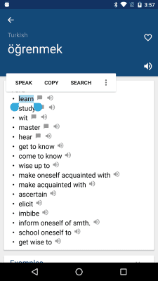 Capture d'écran de l'application Turkish English Dictionary - #1