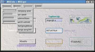 Capture d'écran de l'application MSEide+MSEgui - #6