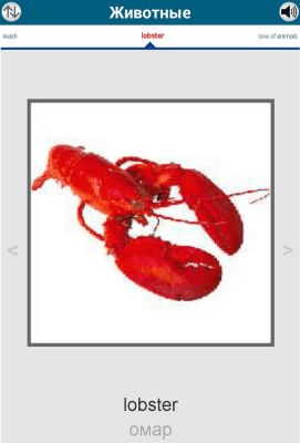 Capture d'écran de l'application 50 langues - 50 langues - #6