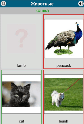 Capture d'écran de l'application 50 langues - 50 langues - #7
