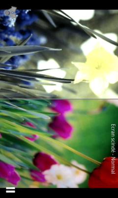 Capture d'écran de l'application Dog vision - #3