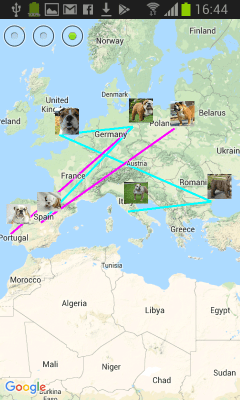 Capture d'écran de l'application Pedigree de l'animal (Android) - #5