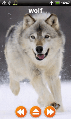 Capture d'écran de l'application Animal Sounds Free Offline - #5