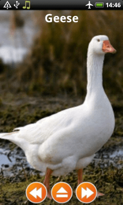 Capture d'écran de l'application Animal Sounds Free Offline - #7